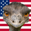 My PFP